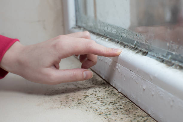 Best Indoor Air Quality Assessment  in Schwenksville, PA